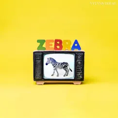 ZEBRA by VYLYNN HOUSE album reviews, ratings, credits