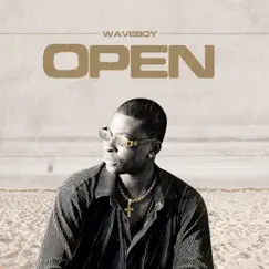 Open - Single by Waveboy album reviews, ratings, credits