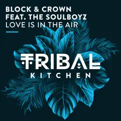 Love Is in the Air (feat. The SOULBOYZ) [Extended Mix] - Single by Block & Crown album reviews, ratings, credits
