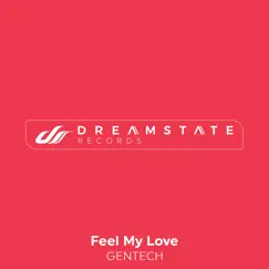 Feel My Love Song Lyrics