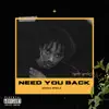 Need You Back - Single album lyrics, reviews, download