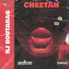 Cheatah - Single album lyrics, reviews, download