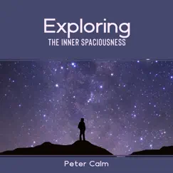 Exploring the Inner Spaciousness by Peter Calm album reviews, ratings, credits
