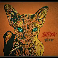 Like It or Not - EP by Stroy album reviews, ratings, credits