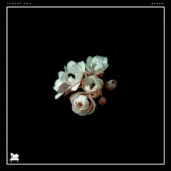 Bloom - Single by Eugene Goh album reviews, ratings, credits