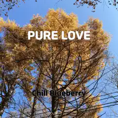 Pure Love - Single by Chill Blueberry album reviews, ratings, credits