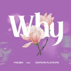 Why (feat. Diamond Platnumz) - Single by The Ben album reviews, ratings, credits