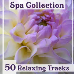 Spa Collection: 50 Relaxing Tracks – Healing Nature Music for Massage, Magic Time, Calm Mind & Total Rest, Ultimate Instrumental New Age by Spa Music Paradise Zone album reviews, ratings, credits