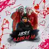 Abre o Coração (feat. MK no Beat) - Single album lyrics, reviews, download