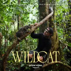 Wildcat (Amazon Original Motion Picture Soundtrack) by Patrick Jonsson album reviews, ratings, credits
