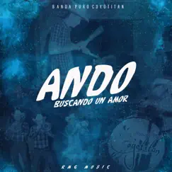 Ando Buscando Un Amor - Single by Banda Puro Coyotitan album reviews, ratings, credits