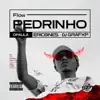FLOW PEDRINHO (feat. CLUB DA DZ7) - Single album lyrics, reviews, download