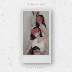 Promises - Single by Crinkle Cut album reviews, ratings, credits