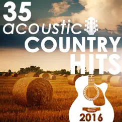 35 Acoustic Country Hits 2016 by Guitar Tribute Players album reviews, ratings, credits