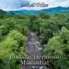 Codazzí Hermoso Manantial - Single album lyrics, reviews, download
