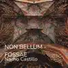 Non Bellum - Fossae - Single album lyrics, reviews, download