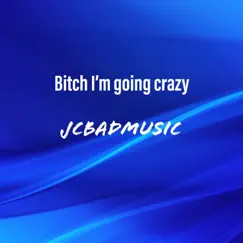 Bitch I'm going crazy - Single by JCBadMusic album reviews, ratings, credits