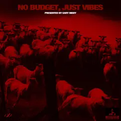 No Budget, Just Vibes by Gary Biddy album reviews, ratings, credits