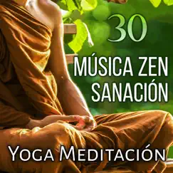 30 Música Zen Sanación: Yoga Meditación – Canciones Espirituales, Sons de la Naturaleza para Relajacion, Mente Pacífica, Repouso, Harmonia, Terapia de Sono y Regeneración del Alma by Meditación Música Ambiente album reviews, ratings, credits