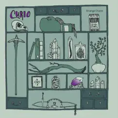 Curio - EP by Strange Charm album reviews, ratings, credits