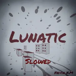 Lunatic (Slowed Instrumetnal Version) - Single by Kevin KM album reviews, ratings, credits