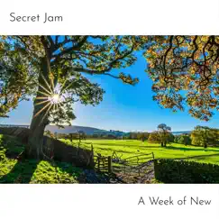 A Week of New by Secret Jam album reviews, ratings, credits