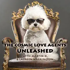 Unleashed - EP by The Cosmic Love Agents & Martin D. album reviews, ratings, credits