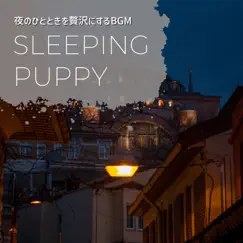 夜のひとときを贅沢にするbgm by Sleeping Puppy album reviews, ratings, credits