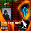 Stovky hodin (feat. Snejk & Katsu) song lyrics