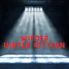 Wieder hinter Gittern (Pastiche/Remix/Mashup) song lyrics
