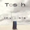 Invisible - Single album lyrics, reviews, download