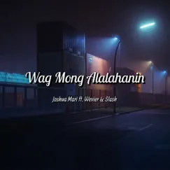 Wag Mong Alalahanin (feat. Wevier & Slash) - Single by Joshua Mari album reviews, ratings, credits