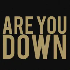Are You Down - Single by Arjana album reviews, ratings, credits