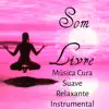 Som Livre - Música Cura Suave Relaxante Instrumental para Energia Prânica Estimulação Cerebral Solução de Problemas com Sons da Naturaleza New Age Espirituais album lyrics, reviews, download