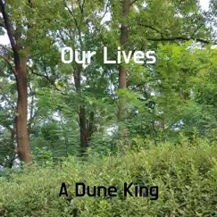 Our Lives - Single by A Dune King album reviews, ratings, credits