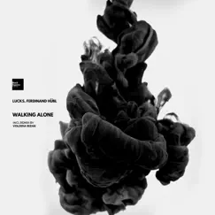 Walking Alone (Volodia Rizak Remix) Song Lyrics