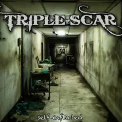 Self Inflicted by TRIPLE SCAR album reviews, ratings, credits