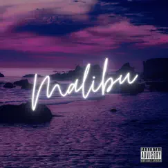 Malibu - Single by VXNX album reviews, ratings, credits