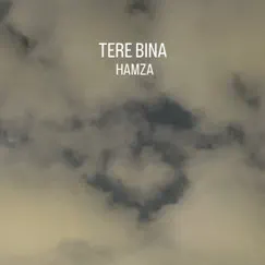 Tere Bina - Single by HAMZA BHUTTA album reviews, ratings, credits