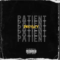 Patient - Single by Destiny Raion album reviews, ratings, credits