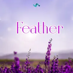 Feather - Single by NS Records album reviews, ratings, credits