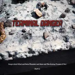 Songs about Wind and Rain Thunder and Snow and the Rising Flames of War Part I. - Single by Terminal Danger album reviews, ratings, credits
