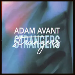 Strangers - Single by Adam Avant album reviews, ratings, credits