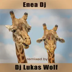 Remixed by DJ Lukas Wolf - EP by Enea DJ album reviews, ratings, credits