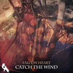 Catch the Wind by Falcon Heart album reviews, ratings, credits
