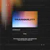 Tranquility - Single album lyrics, reviews, download