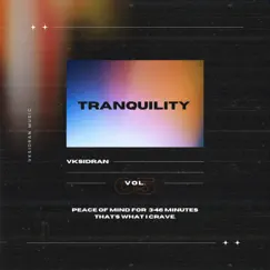 Tranquility - Single by Vksidran album reviews, ratings, credits