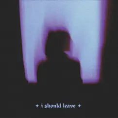 I Should Leave - Single by Dansyafi album reviews, ratings, credits