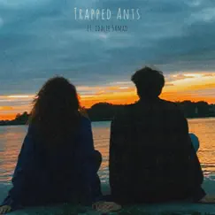 I Didn't Change But We Did (feat. Idalie Samad) - Single by Trapped Ants album reviews, ratings, credits