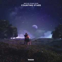 Counting Stars Song Lyrics